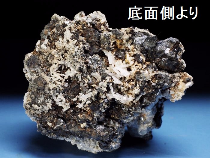 �Z�v�^�[�N�H�[�c �������S���Y 200g (68)