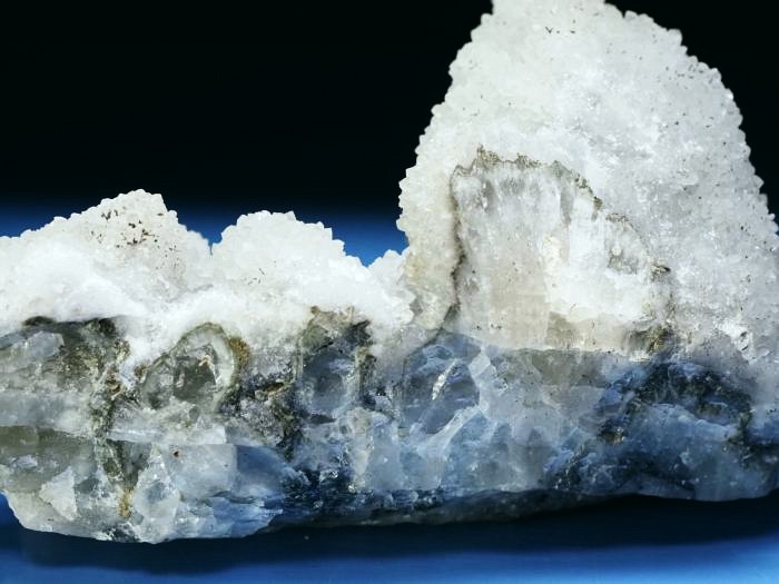 �h�D���[�W�[ �����g���s�b�`�F �������S���Y 133mm 335g (69)