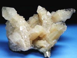 �Z�v�^�[�N�H�[�c<br> �������S���Y 350g (70)