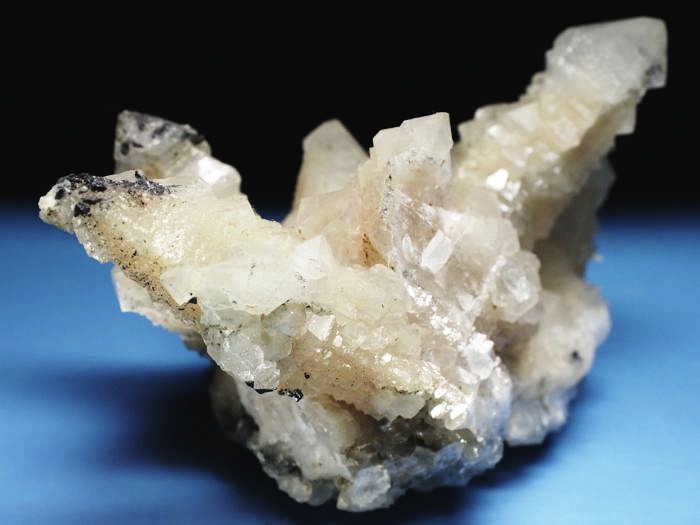 �Z�v�^�[�N�H�[�c �������S���Y 350g (70)