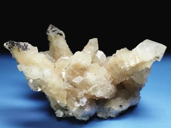 �Z�v�^�[�N�H�[�c �������S���Y 350g (70)