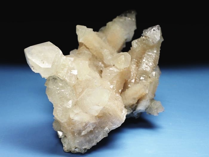 �Z�v�^�[�N�H�[�c �������S���Y 350g (70)