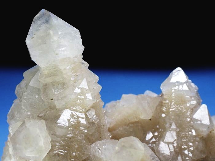 �Z�v�^�[�N�H�[�c �������S���Y 350g (70)