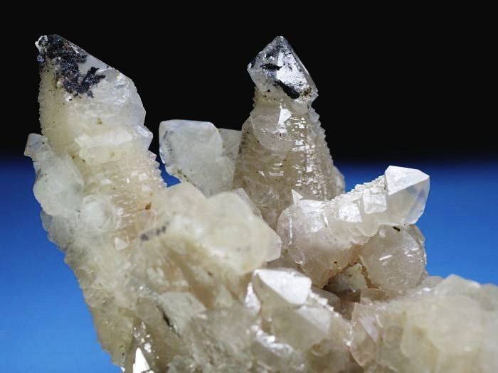 �Z�v�^�[�N�H�[�c �������S���Y 350g (70)