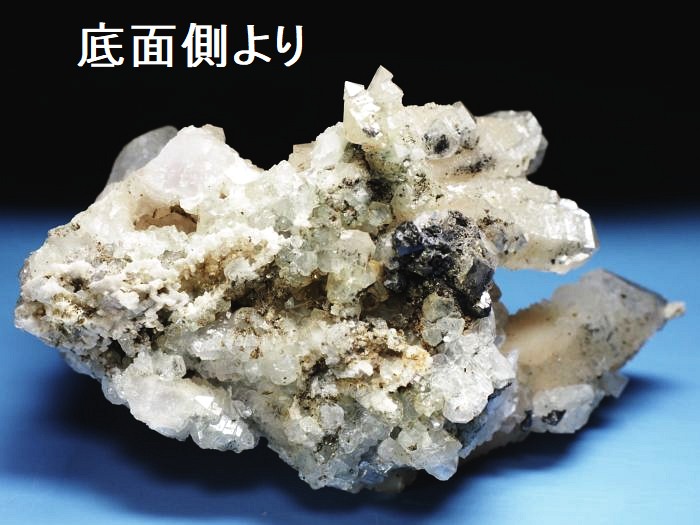 �Z�v�^�[�N�H�[�c �������S���Y 350g (70)