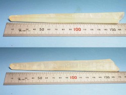 ���[�U�[����<br> �������S���Y 173mm (71)