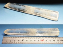 ���[�U�[����<br> �������S���Y 146mm (72)