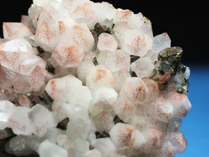 ���b�h�N�H�[�c �������S���Y 180g (73)