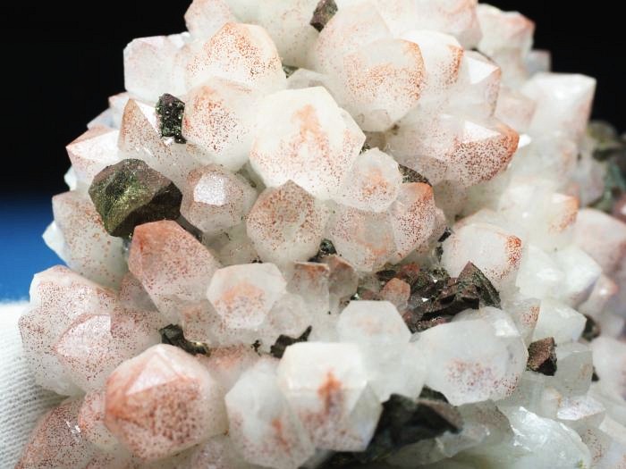 ���b�h�N�H�[�c �������S���Y 180g (73)