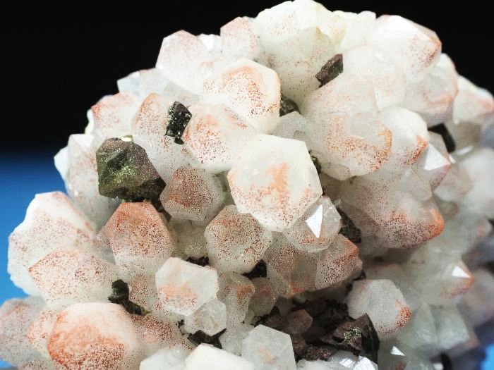 ���b�h�N�H�[�c �������S���Y 180g (73)