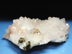 ���b�h�N�H�[�c<br> �������S���Y 285g (74)