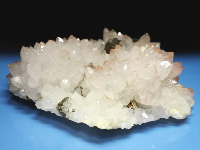 ���b�h�N�H�[�c �������S���Y 285g (74)