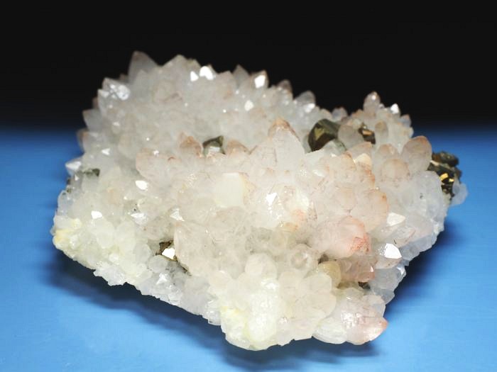 ���b�h�N�H�[�c �������S���Y 285g (74)