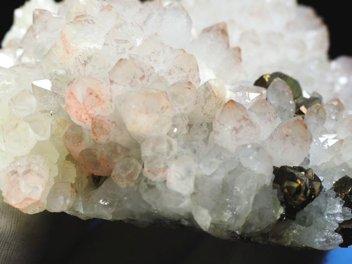 ���b�h�N�H�[�c �������S���Y 285g (74)