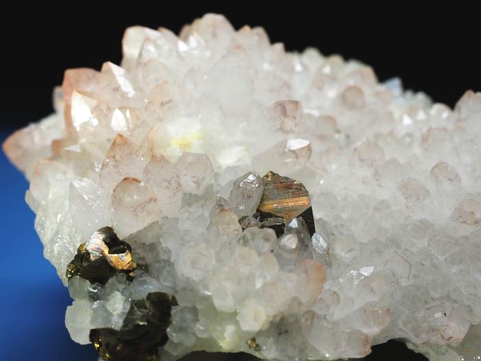 ���b�h�N�H�[�c �������S���Y 285g (74)