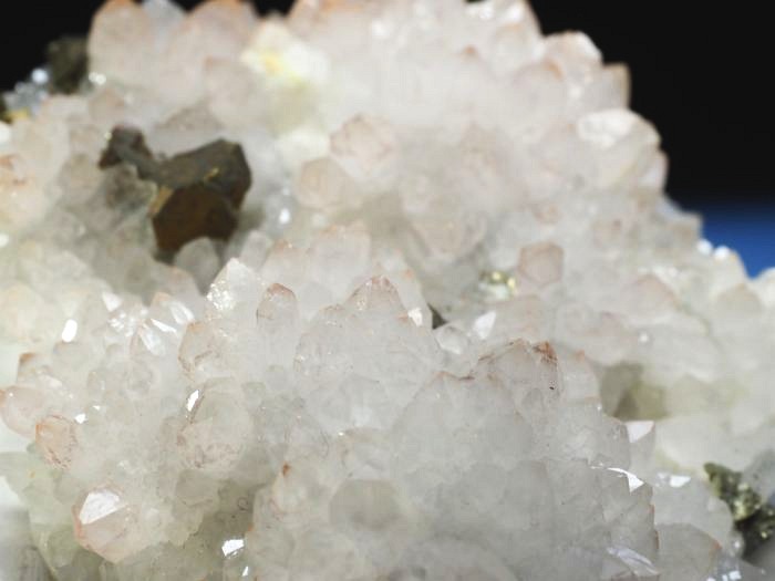 ���b�h�N�H�[�c �������S���Y 285g (74)