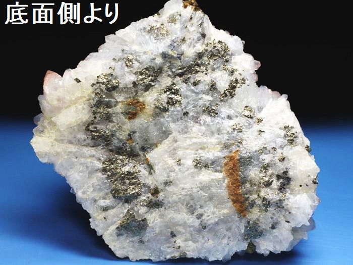 ���b�h�N�H�[�c �������S���Y 285g (74)