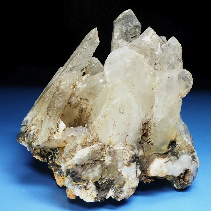 ����������(�O���X�C���^�[�t�F�����X�N�H�[�c) �������S���Y 690g (78)