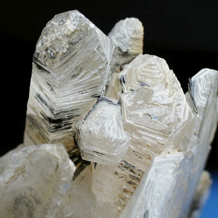 ����������(�O���X�C���^�[�t�F�����X�N�H�[�c) �������S���Y 690g (78)