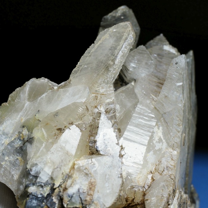 ����������(�O���X�C���^�[�t�F�����X�N�H�[�c) �������S���Y 690g (78)