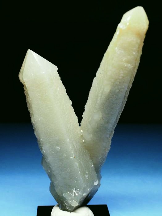 �w�f���o�[�K�C�g�C���N�H�[�c �ΐ����E�������S���Y 11.2cm130g (34)