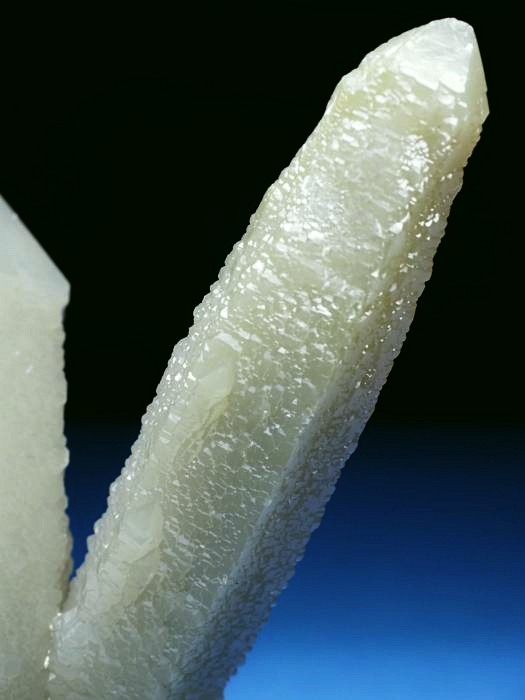 �w�f���o�[�K�C�g�C���N�H�[�c �ΐ����E�������S���Y 11.2cm130g (34)