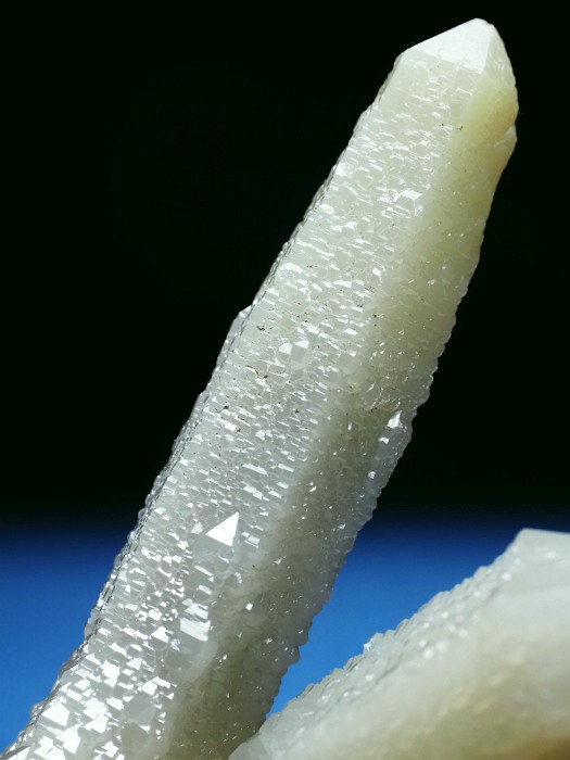 �w�f���o�[�K�C�g�C���N�H�[�c �ΐ����E�������S���Y 11.2cm130g (34)