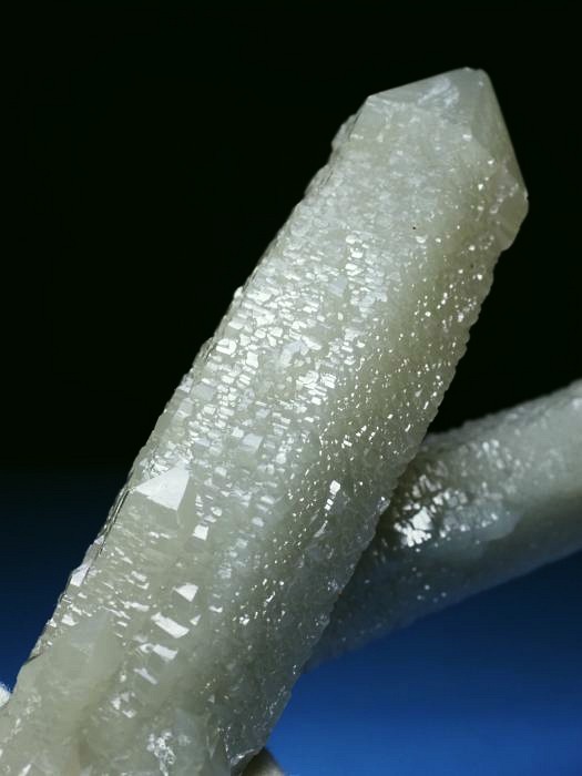 �w�f���o�[�K�C�g�C���N�H�[�c �ΐ����E�������S���Y 11.2cm130g (34)