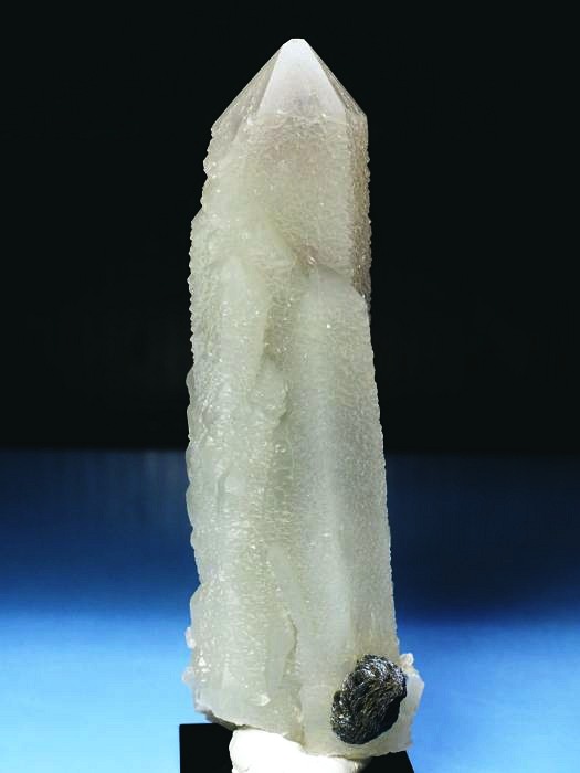 �w�f���o�[�K�C�g�C���N�H�[�c �A�C�A�����[�Y�t�E�������S���Y 12.2cm195g (36)