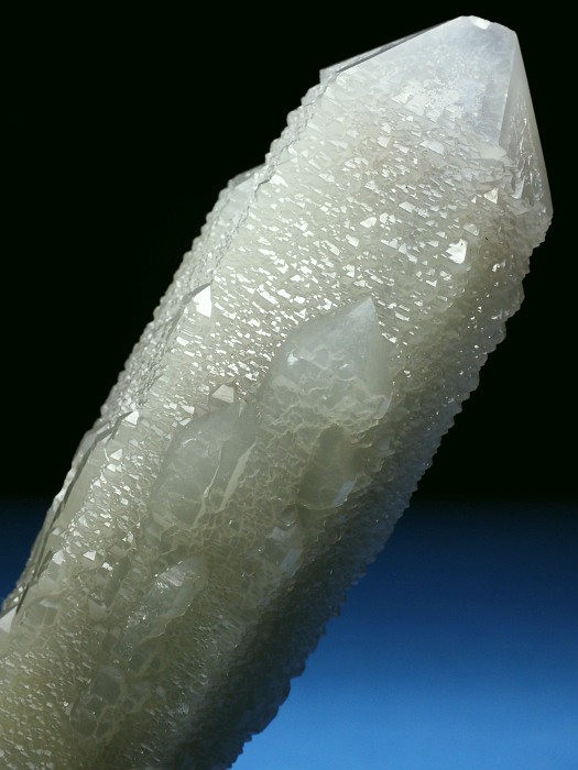 �w�f���o�[�K�C�g�C���N�H�[�c �A�C�A�����[�Y�t�E�������S���Y 11.7cm155g (37)