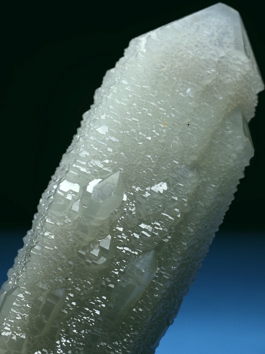 �w�f���o�[�K�C�g�C���N�H�[�c �A�C�A�����[�Y�t�E�������S���Y 11.7cm155g (37)