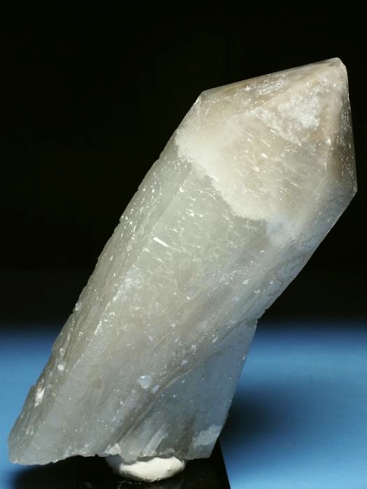 �w�f���o�[�K�C�g�C���N�H�[�c �ΐ����E�������S���Y 13cm357g (39)