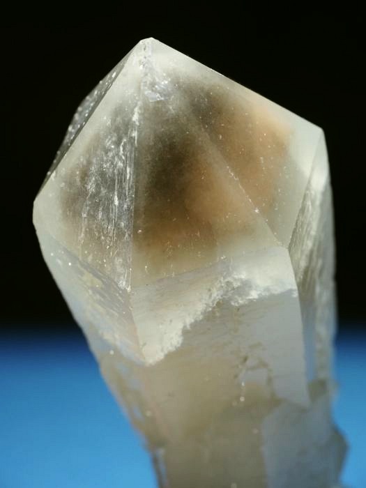 �w�f���o�[�K�C�g�C���N�H�[�c �ΐ����E�������S���Y 13cm357g (39)