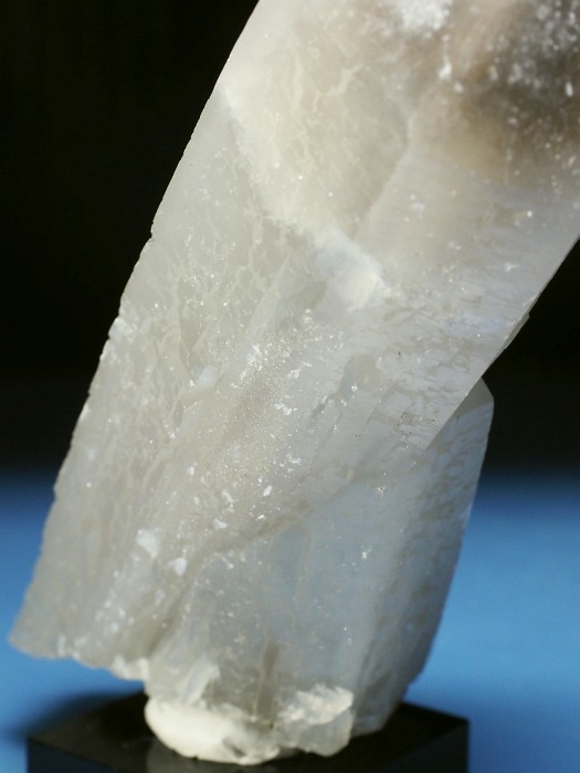 �w�f���o�[�K�C�g�C���N�H�[�c �ΐ����E�������S���Y 13cm357g (39)