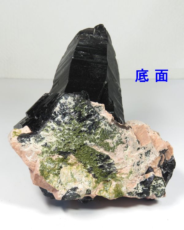 INX^[ RȎY 1328g (357)