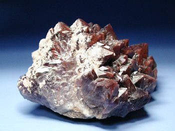 bhAWXg 538g (24)