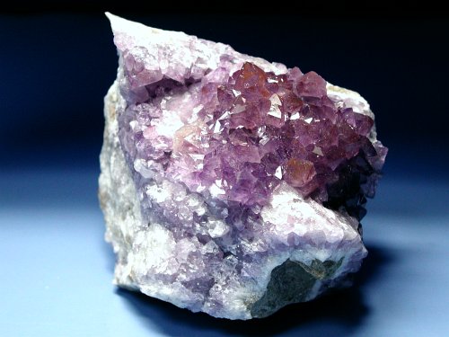 bhAWXg 784g (29)