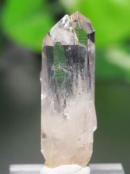 E/AX^[tBGtY<br> C{[<br> 10.8g (Ru104)