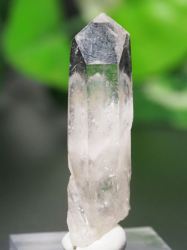 E/AX^[tBGtY<br> P<br> 9.5g (Ru105)