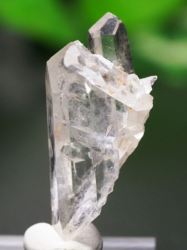 E/AX^[tBGtY<br> ~j<br> 7.4g (Ru109)