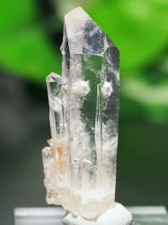 E/AX^[tBGtY<br> C{[/ѓ<br> 9.2g (Ru110)