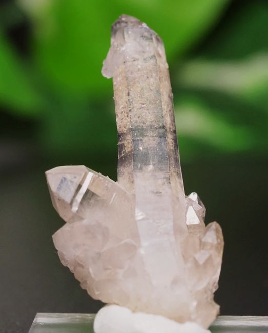 E/YgD[XgY ~jNX^[ 8.5g (Ru111)