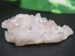 E/AX^[tBGtY<br> ~jNX^[<br> 13g (Ru121)