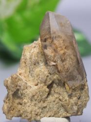 E/pmNY<br> ZTCg̃K[f<br> 35.2g (RU125)