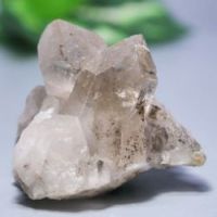 E/pmNY<br> OXEC^[tFX<br> 70g (RU131)