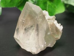 E/UgEXgY<br> N[Cg萅<br> 124g (RU148)