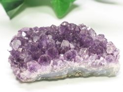 E/AX^[tBGtY<br>AWXg<br> 110g (RU154)