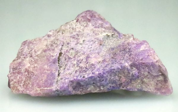 XMCg 34.5g (20)
