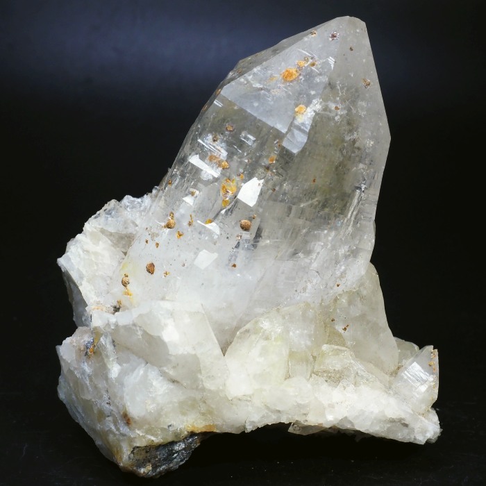 �r���^�����z���C�g�N�H�[�c �X�C�X�A���v�X���� 109mm 545g (28g7-5L)����