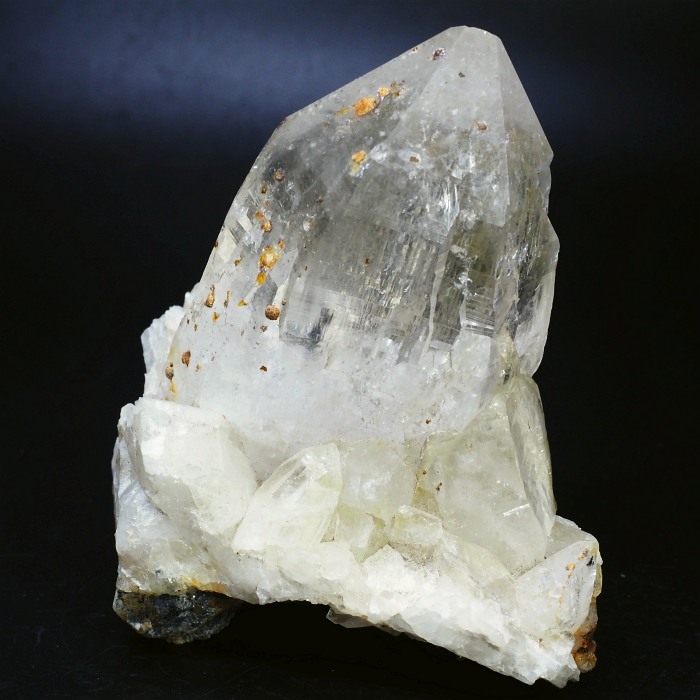 �r���^�����z���C�g�N�H�[�c �X�C�X�A���v�X���� 109mm 545g (28g7-5L)����